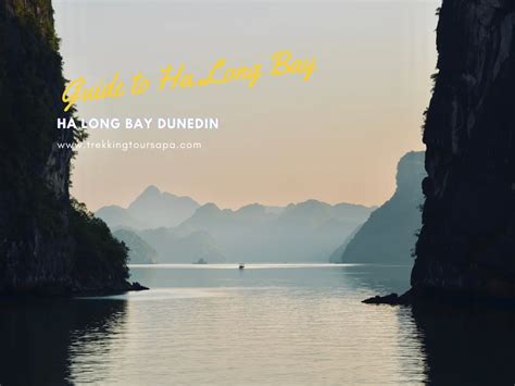 Ha long bay dunedin. Things To Know About Ha long bay dunedin. 